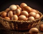 قیمت مصوب تخم‌مرغ درب مرغداری هر کیلو گرم چند؟
