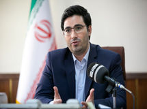 افزایش ۵۰ درصدی سقف تعهدات گندم در صندوق بیمه کشاورزی
