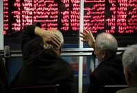 تولید ۳۲۱ هزار تنی شیر توسط دامپروران بورسی
