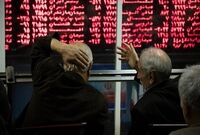 تولید ۳۲۱ هزار تنی شیر توسط دامپروران بورسی
