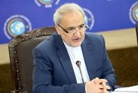 400 هزار تن برنج پاکستانی وارد می کنیم