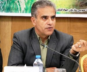 ۱۷۰ همت منابع مالی برای توسعه صنایع تبدیلی نیاز است
