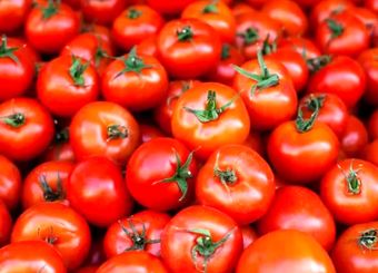بازار صادراتی جان گرفت / دستور تازه گمرک برای خروج آزادانه سه کالای حساس
