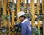 معمای پتروشیمی‌های ایران؛ میلیاردها دلار سرمایه خاک می‌خورد
