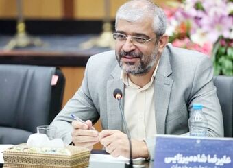  رصد کالا برای دولت امکان‌پذیر نیست