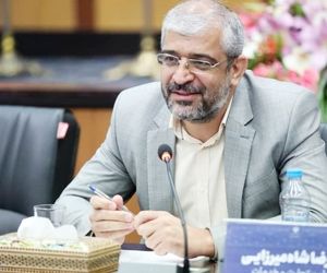  رصد کالا برای دولت امکان‌پذیر نیست