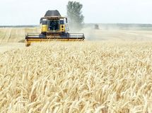 مفتخری دولت از گندمکاران/ پای کنترل بودجه در میان است؟