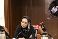 فرونشست بحران جدی در کشور است؛ میانگین نشست زمین در تهران ۲۵ سانت
