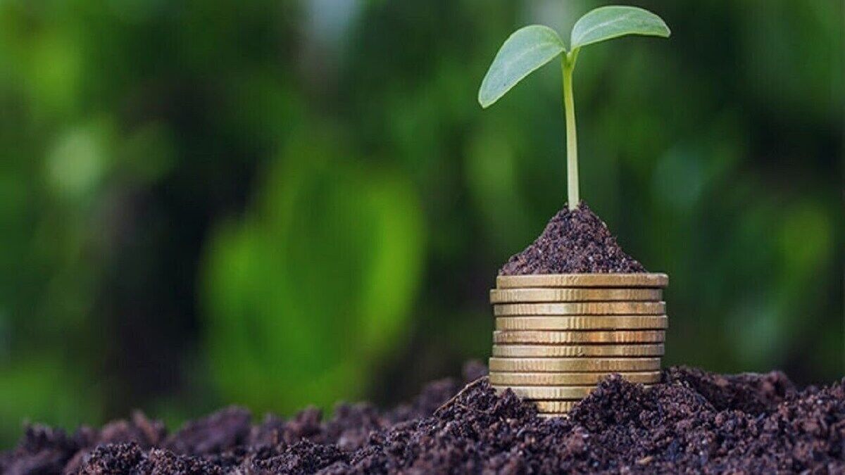 خبر خوش برای کشاورزان/ پرداخت غرامت خسارت‌دیدگان ادامه دارد
