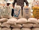 تغییر مهم در بازار / برنج ارزان می‌شود؟