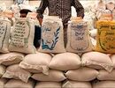 تغییر مهم در بازار / برنج ارزان می‌شود؟