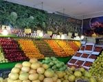 انفجار قیمت در بازار سبزیجات؛ هر کیلو گرم خیار ۸۹ و کاهو ۹۸ هزار تومان
