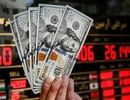 قیمت دلار منفجر شد/ جدول قیمت دلار امروز یکشنبه ۱۳ مهر ۱۴۰۴
