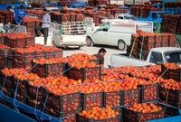 بازار بهم ریخت / گوجه فرنگی دوباره گران شد
