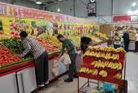 هر کیلوگرم خیار در کانال ۸۰ وگوجه فرنگی درکانال۷۰ هزار تومان قرار گرفت
